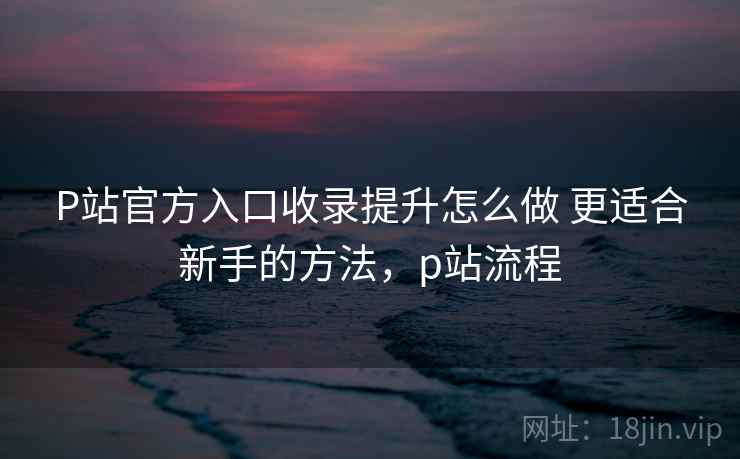 P站官方入口收录提升怎么做 更适合新手的方法，p站流程
