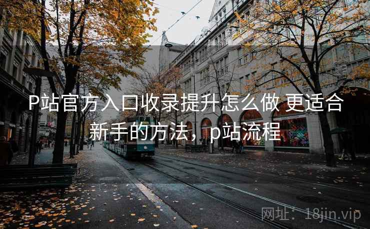 P站官方入口收录提升怎么做 更适合新手的方法，p站流程