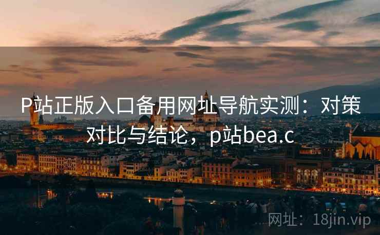 P站正版入口备用网址导航实测：对策对比与结论，p站bea.c
