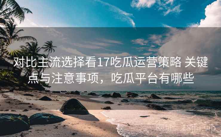 对比主流选择看17吃瓜运营策略 关键点与注意事项，吃瓜平台有哪些