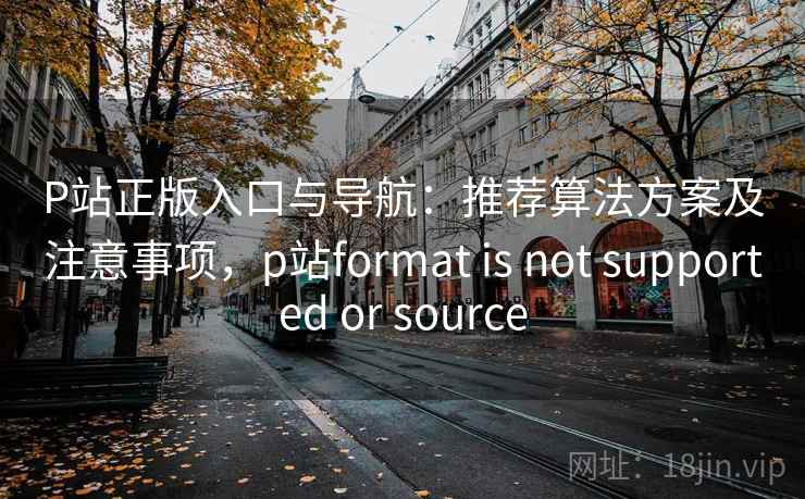 P站正版入口与导航:推荐算法方案及注意事项,p站format is not supported or source P站正版入口与导航:推荐算法方案及注意事项,p站format is not supported or source