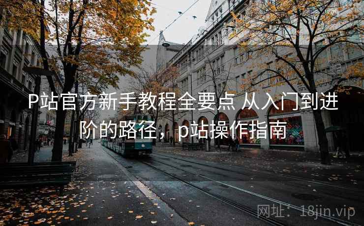 P站官方新手教程全要点 从入门到进阶的路径，p站操作指南