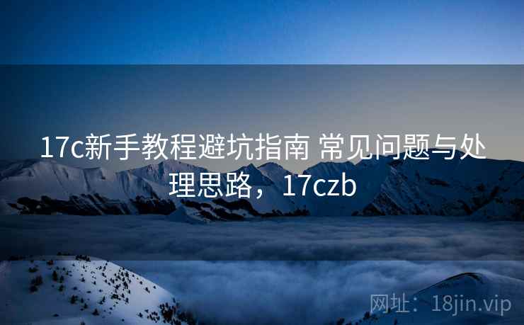 17c新手教程避坑指南 常见问题与处理思路，17czb