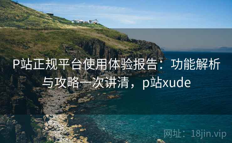 P站正规平台使用体验报告：功能解析与攻略一次讲清，p站xude