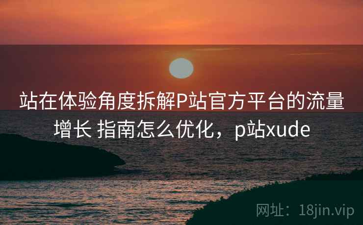 站在体验角度拆解P站官方平台的流量增长 指南怎么优化，p站xude
