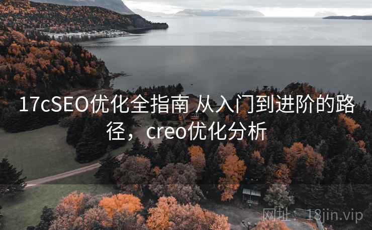 17cSEO优化全指南 从入门到进阶的路径，creo优化分析