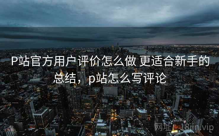 P站官方用户评价怎么做 更适合新手的总结，p站怎么写评论