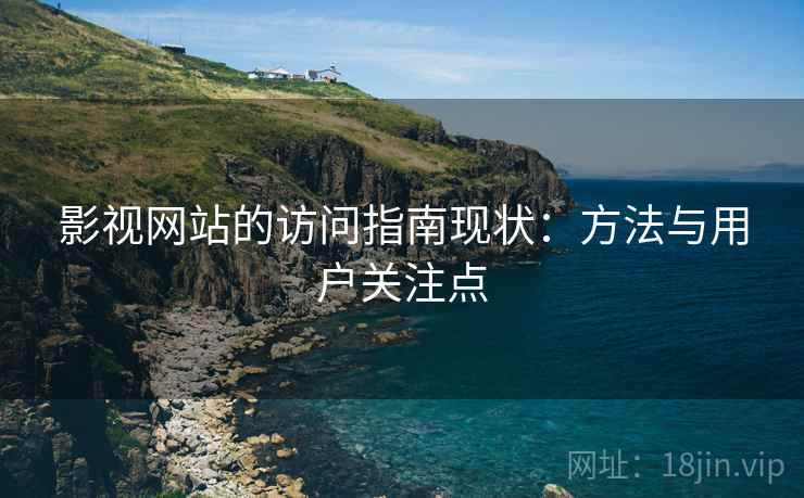 影视网站的访问指南现状：方法与用户关注点