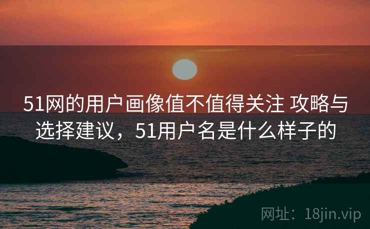 51网的用户画像值不值得关注 攻略与选择建议，51用户名是什么样子的