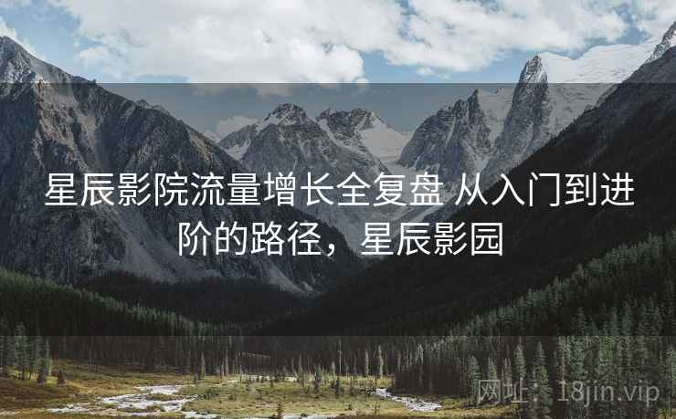 星辰影院流量增长全复盘 从入门到进阶的路径，星辰影园