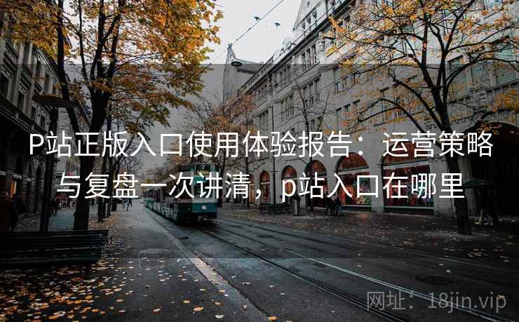 P站正版入口使用体验报告：运营策略与复盘一次讲清，p站入口在哪里