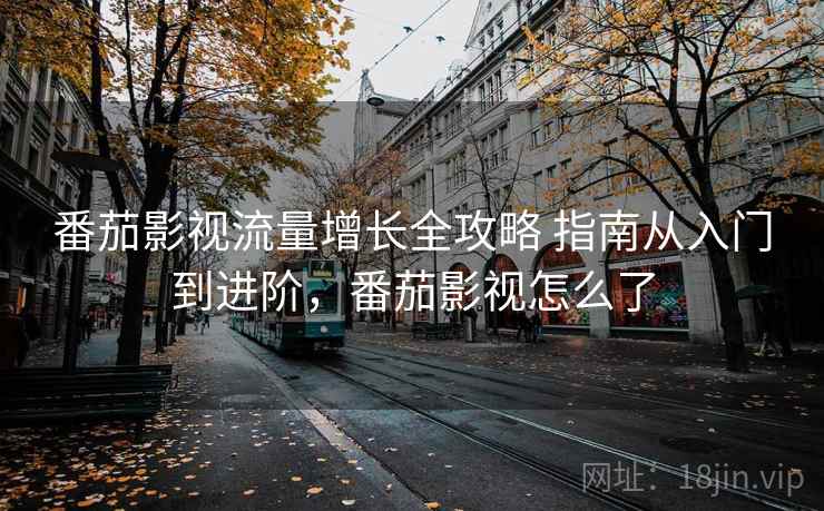 番茄影视流量增长全攻略 指南从入门到进阶，番茄影视怎么了