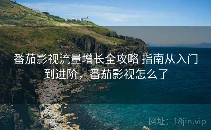 番茄影视流量增长全攻略 指南从入门到进阶，番茄影视怎么了