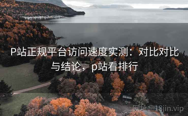 P站正规平台访问速度实测：对比对比与结论，p站看排行
