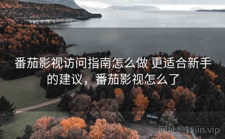 番茄影视访问指南怎么做 更适合新手的建议，番茄影视怎么了