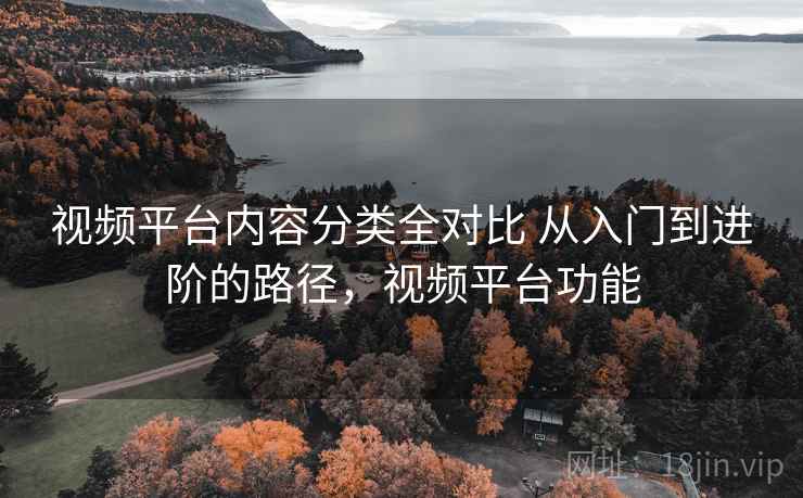 视频平台内容分类全对比 从入门到进阶的路径，视频平台功能