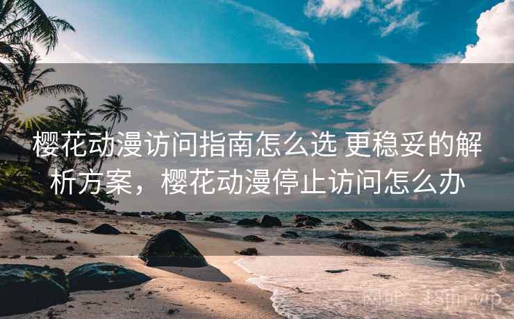 樱花动漫访问指南怎么选 更稳妥的解析方案，樱花动漫停止访问怎么办