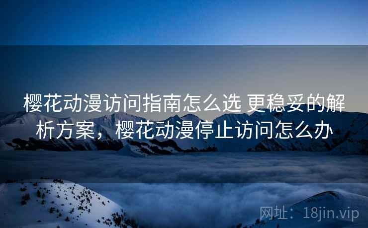 樱花动漫访问指南怎么选 更稳妥的解析方案，樱花动漫停止访问怎么办