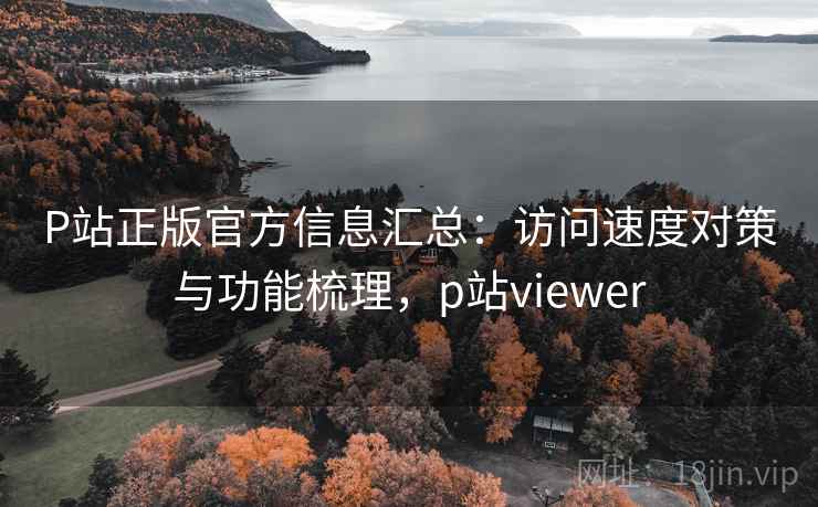 P站正版官方信息汇总：访问速度对策与功能梳理，p站viewer
