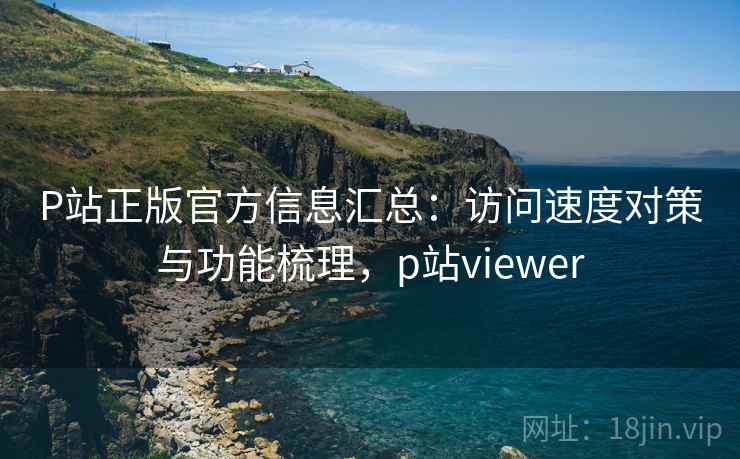P站正版官方信息汇总：访问速度对策与功能梳理，p站viewer