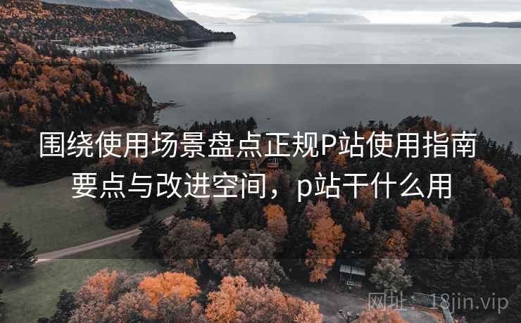围绕使用场景盘点正规P站使用指南 要点与改进空间，p站干什么用