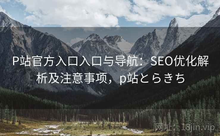 P站官方入口入口与导航：SEO优化解析及注意事项，p站とらきち