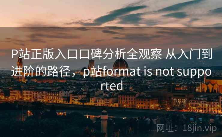 P站正版入口口碑分析全观察 从入门到进阶的路径，p站format is not supported