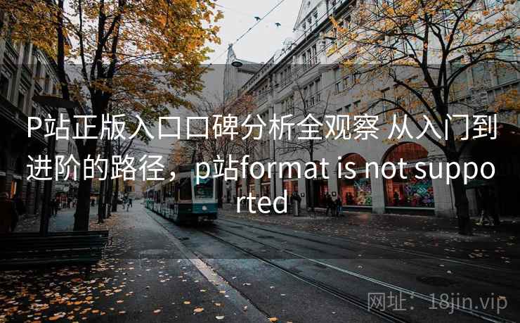 P站正版入口口碑分析全观察 从入门到进阶的路径，p站format is not supported