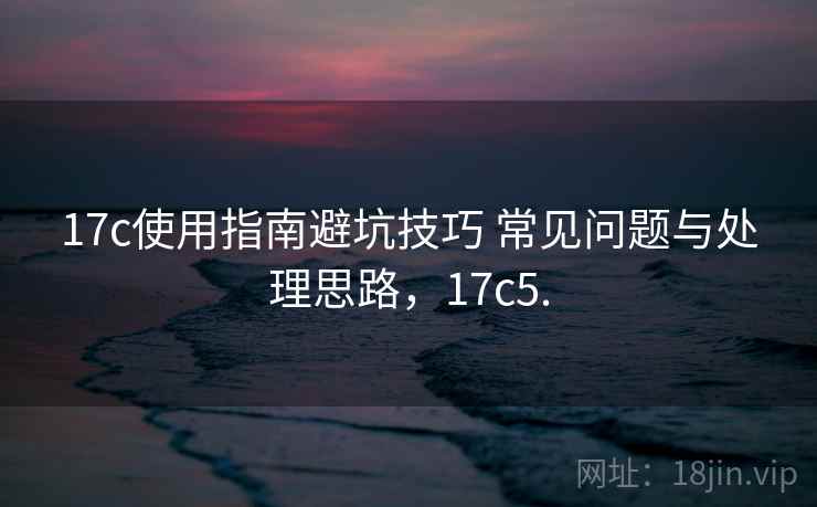 17c使用指南避坑技巧 常见问题与处理思路，17c5.