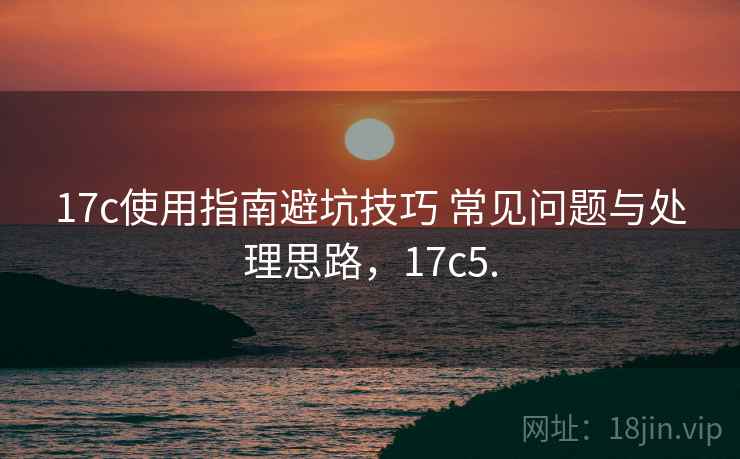 17c使用指南避坑技巧 常见问题与处理思路,17c5. 17c使用指南避坑技巧 常见问题与处理思路,17c5.